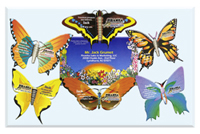 Butterfly Mailer
